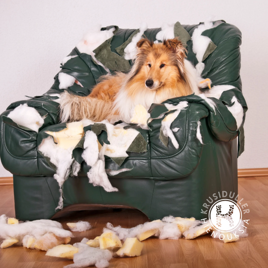 Kombo paketti (Tassuvaha ja Classic) -Golden Mix Balsam 150ml.